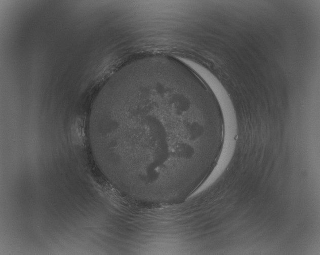 X0000056330695200509021630