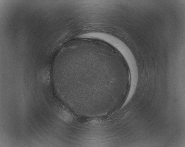 X0000056330697200509021630