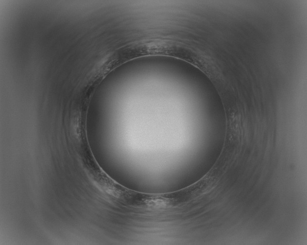 X0000056330698200509021630