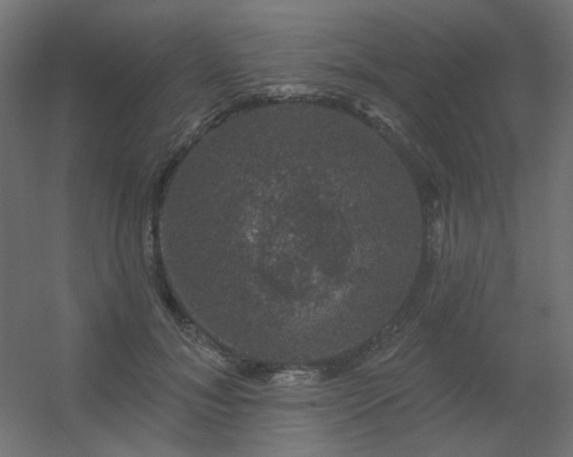 X0000056330700200509021629