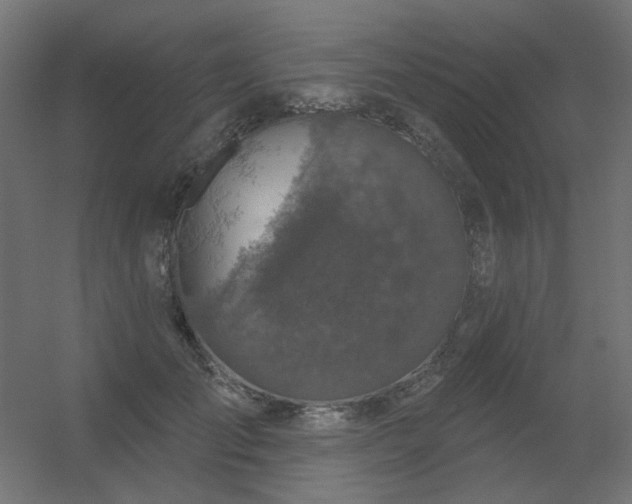 X0000056330701200509021629