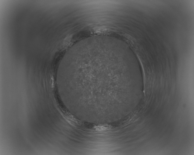 X0000056330703200509021629