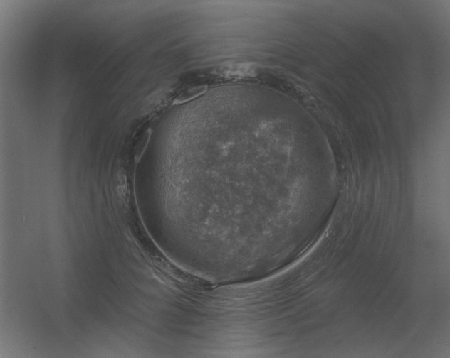 X0000056330704200509021629