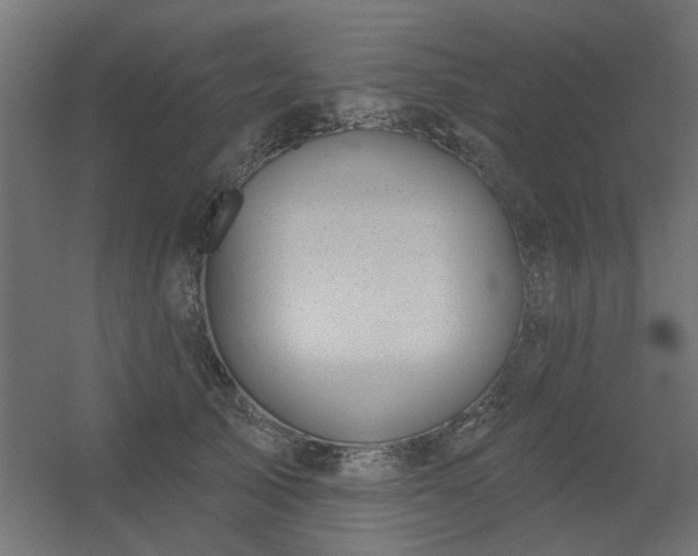 X0000056330705200509021629