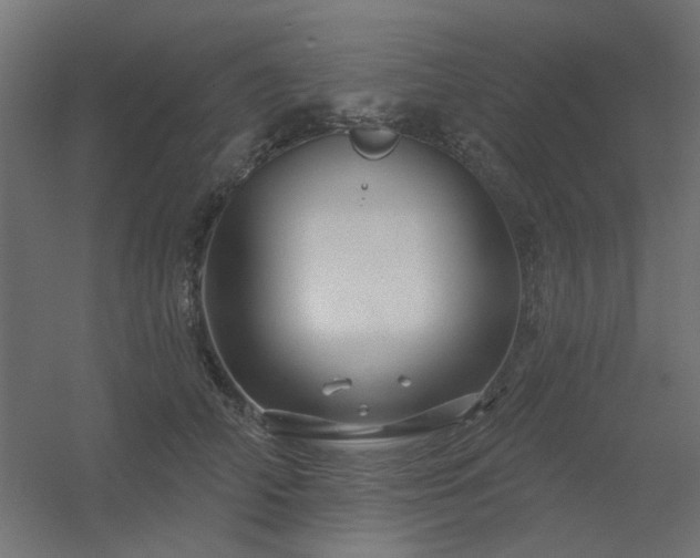 X0000056330706200509021629