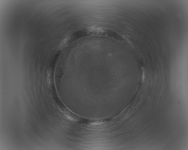 X0000056330708200509021629