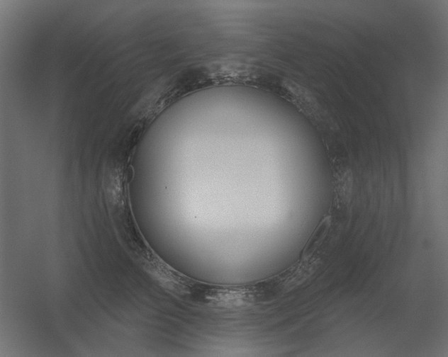 X0000056330709200509021629