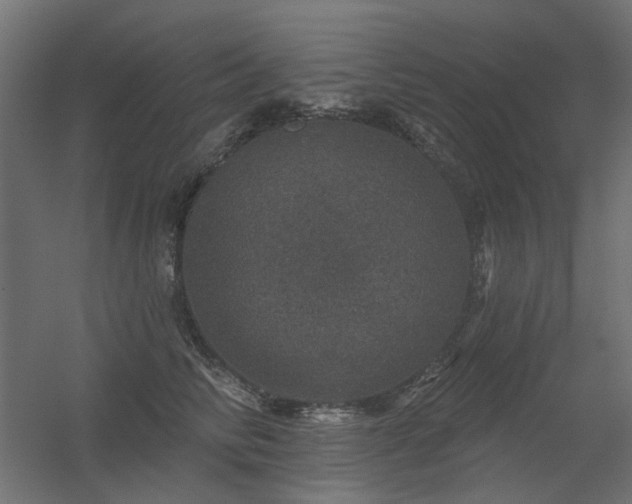 X0000056330710200509021629