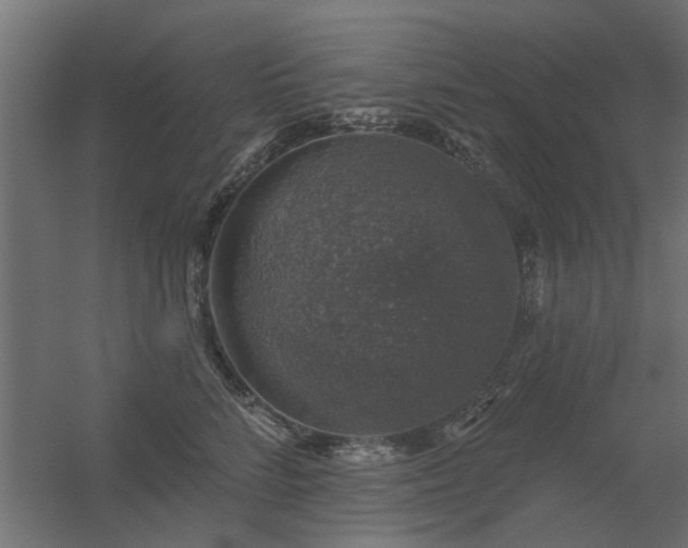 X0000056330712200509021629