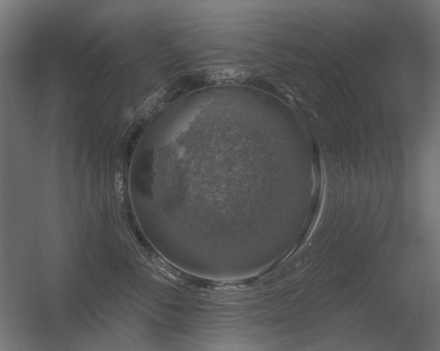 X0000056330716200509021629