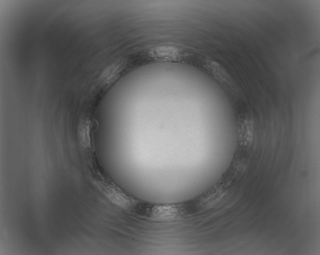 X0000056330717200509021629