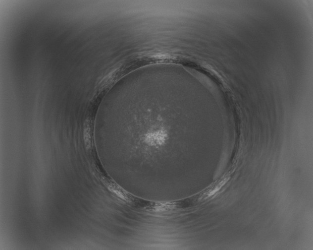 X0000056330720200509021629