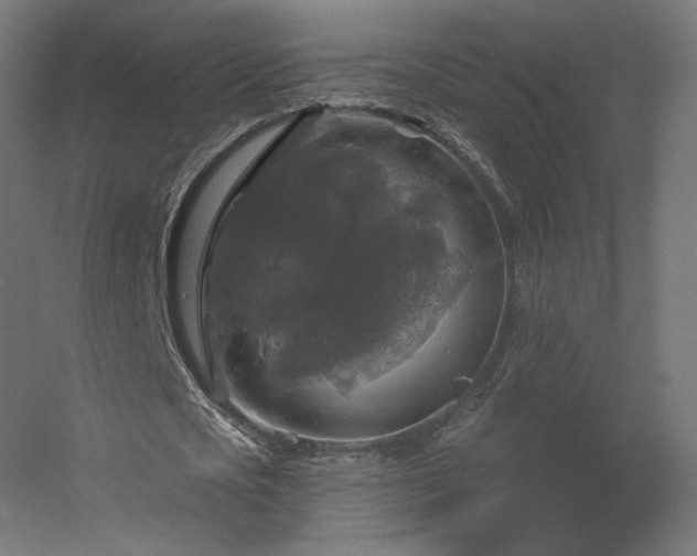 X0000056330721200509021628