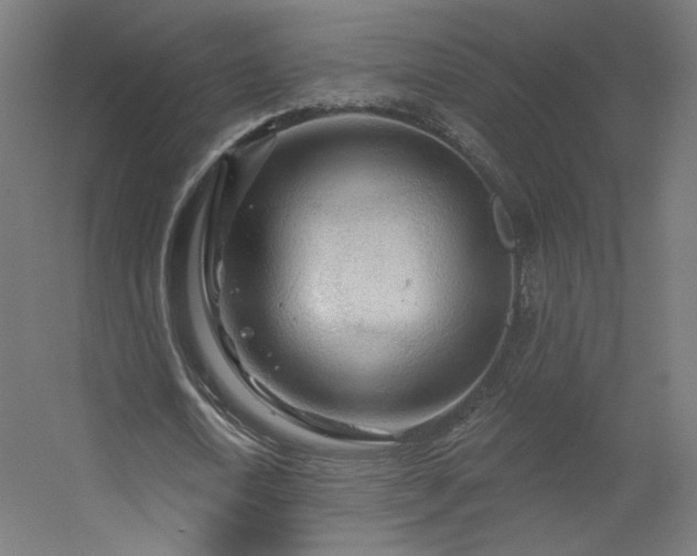 X0000056330722200509021628