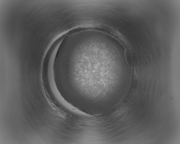 X0000056330724200509021628