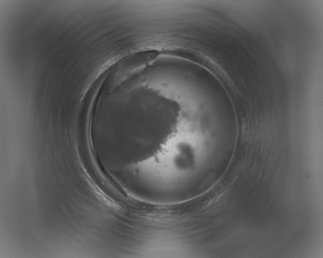 X0000056330725200509021628