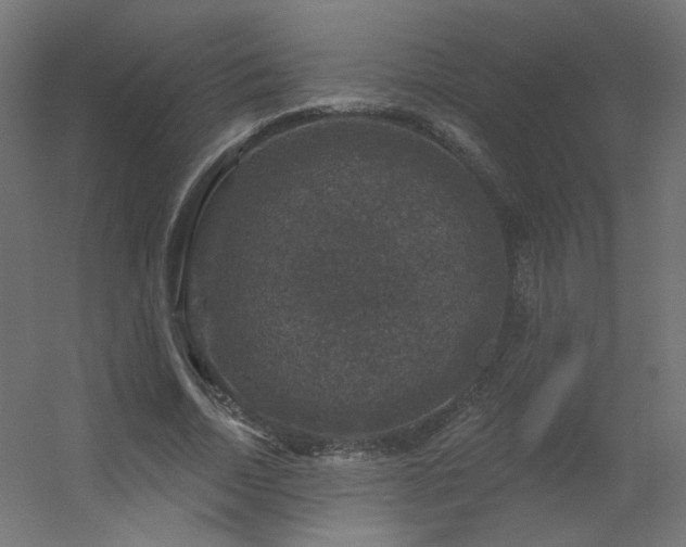 X0000056330730200509021628