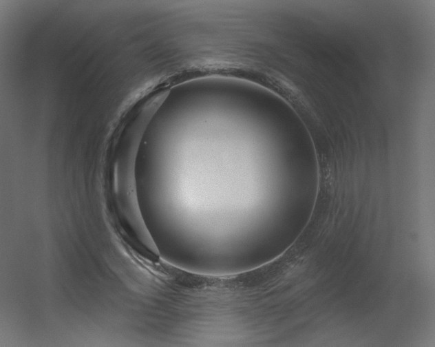 X0000056330732200509021629