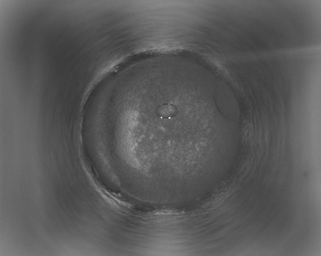 X0000056330736200509021629