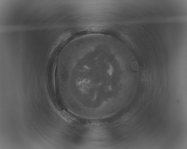 X0000056330738200509021629