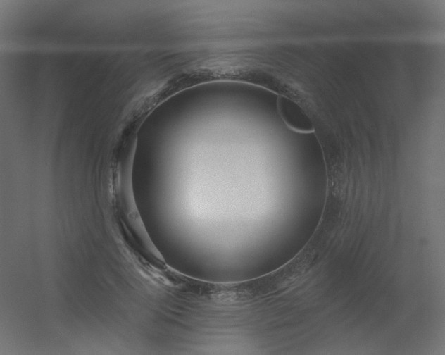 X0000056330740200509021629