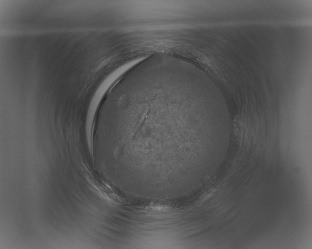 X0000056330741200509021629