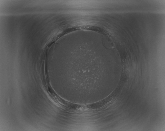 X0000056330742200509021629