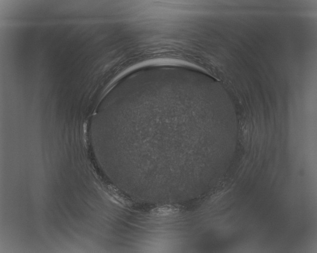 X0000056330745200509021629