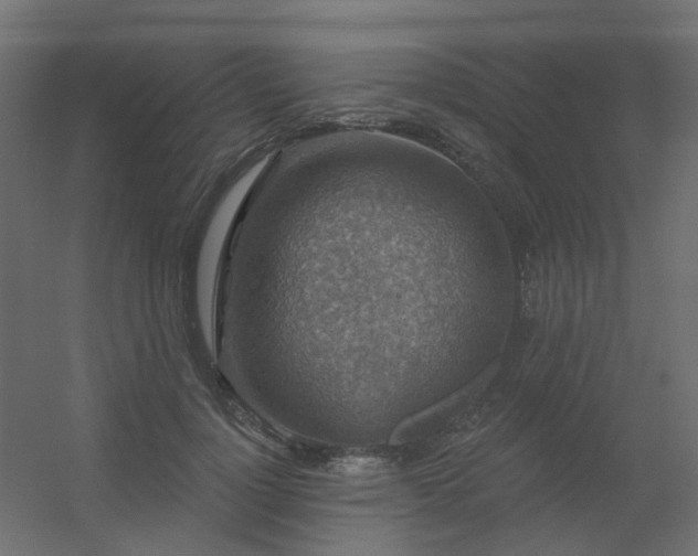 X0000056330748200509021629