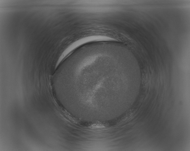 X0000056330749200509021629