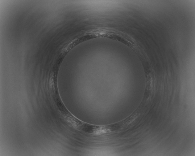 X0000056330754200509021629