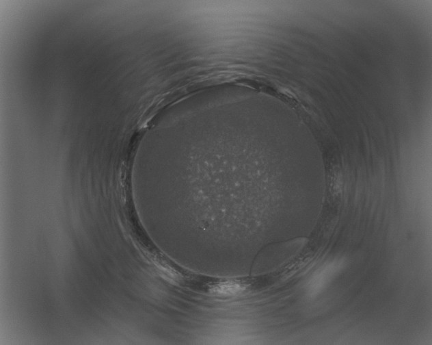 X0000056330759200509021629