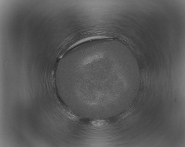 X0000056330761200509021629