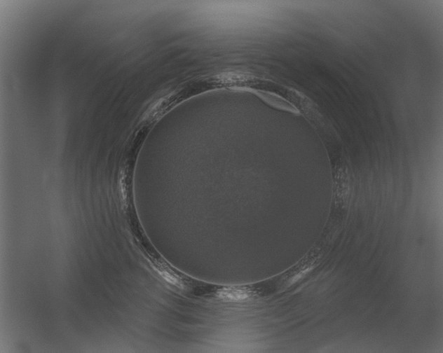 X0000056330762200509021629