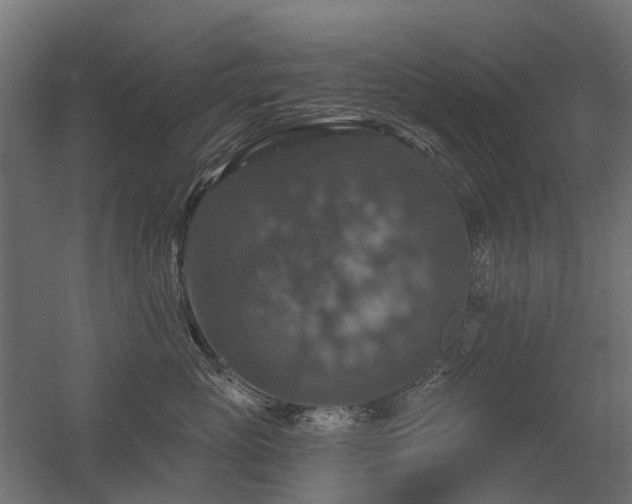 X0000056330765200509021629