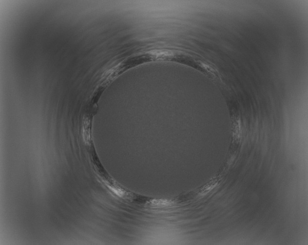 X0000056330766200509021629