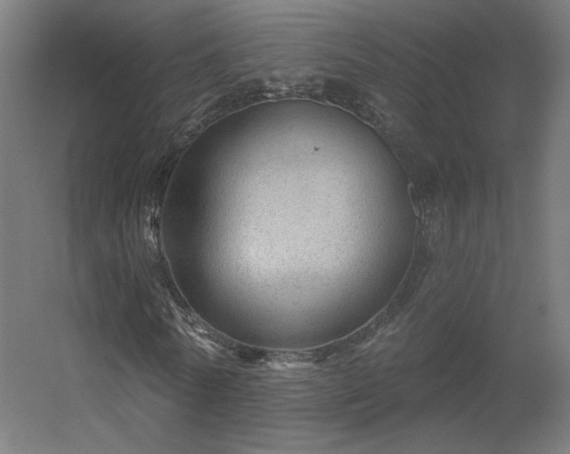 X0000056330770200509021628