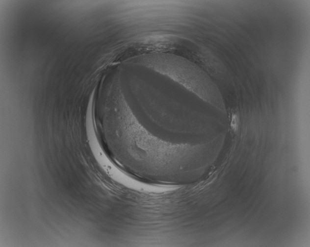 X0000056330771200509021628