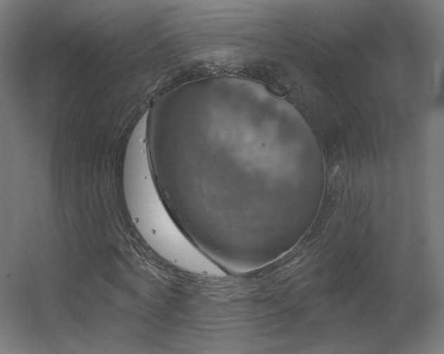 X0000056330772200509021628