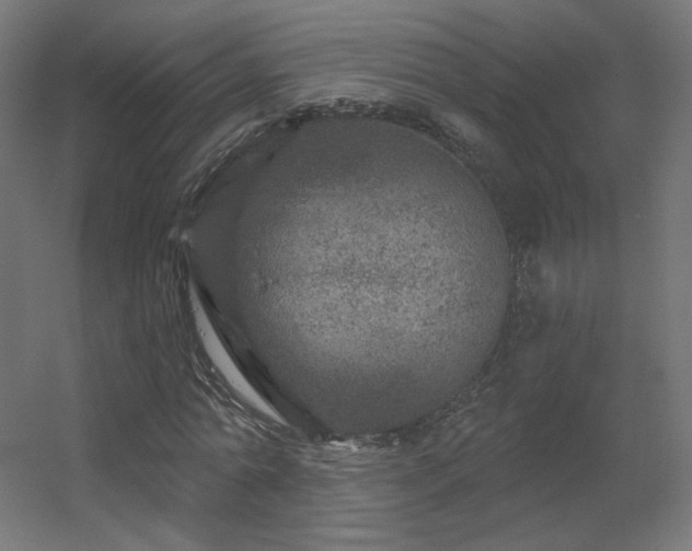 X0000056330774200509021628