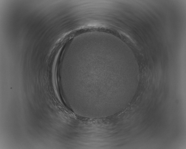 X0000056330776200509021628