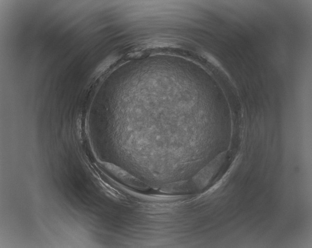 X0000056330777200509021628