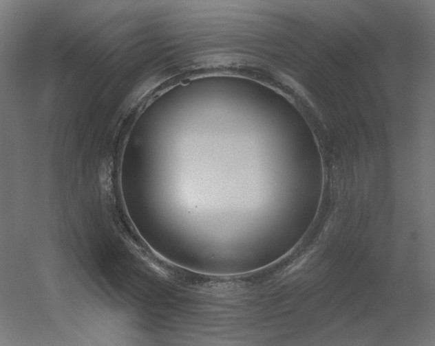 X0000056330778200509021628