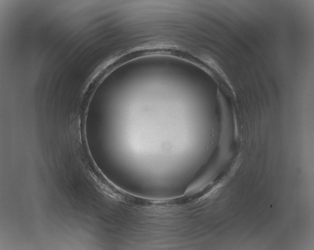 X0000056330781200509021628