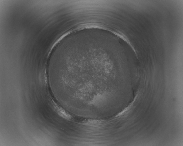 X0000056330782200509021628