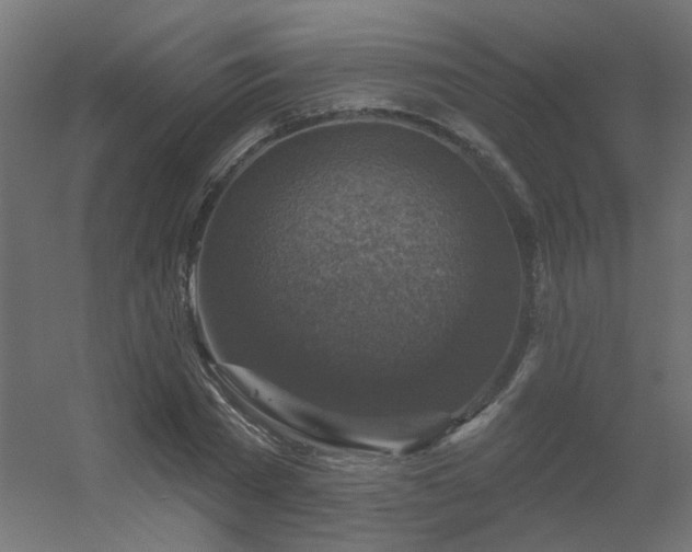 X0000056330785200509021628