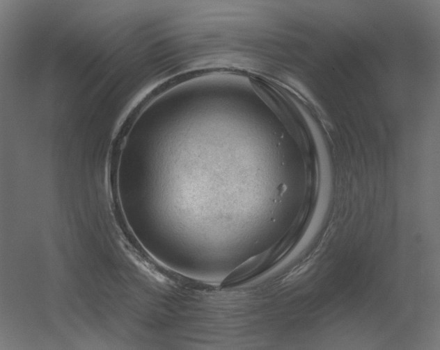 X0000056330788200509021628