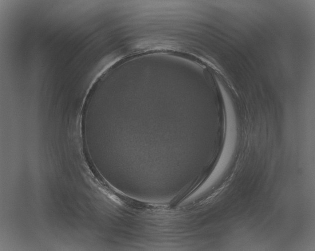 X0000056330790200509021628