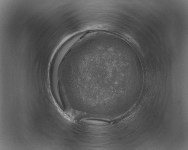 X0000056330792200509021628