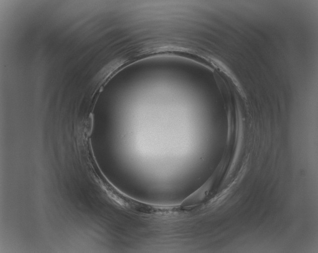 X0000056330793200509021628